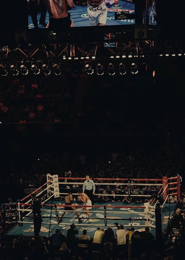 tax advice for boxers